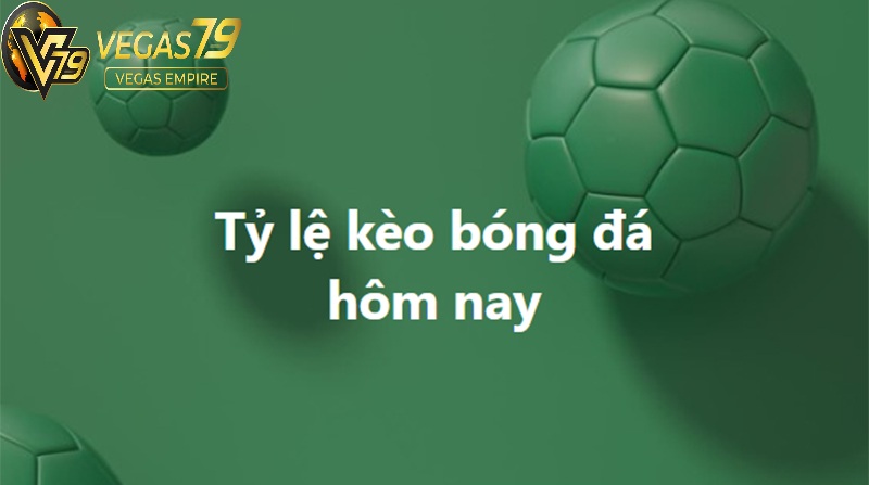 Cách đọc Soi kèo Bundesliga dễ hiểu cho người mới