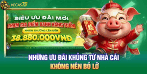 Một vài thông tin sơ lược về Vegas79